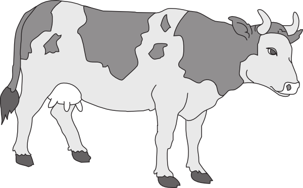 Gray Clipart Cow - Cow Clipart (600x373)