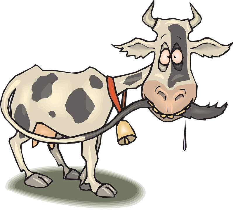Silly Goat Cliparts 15, - Crazy Cow Clipart (798x720)