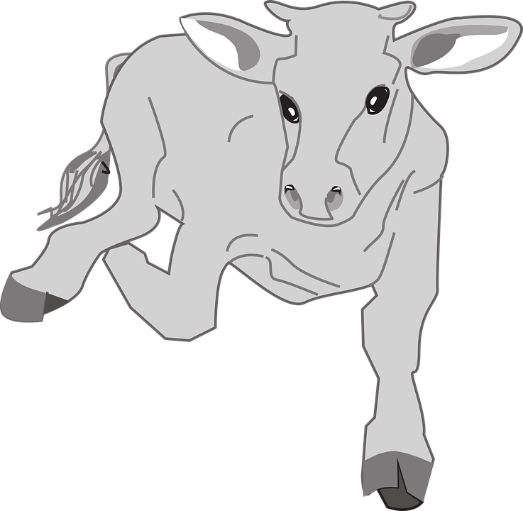 Animated Goats Cliparts 28, - Cartoon (737x720)