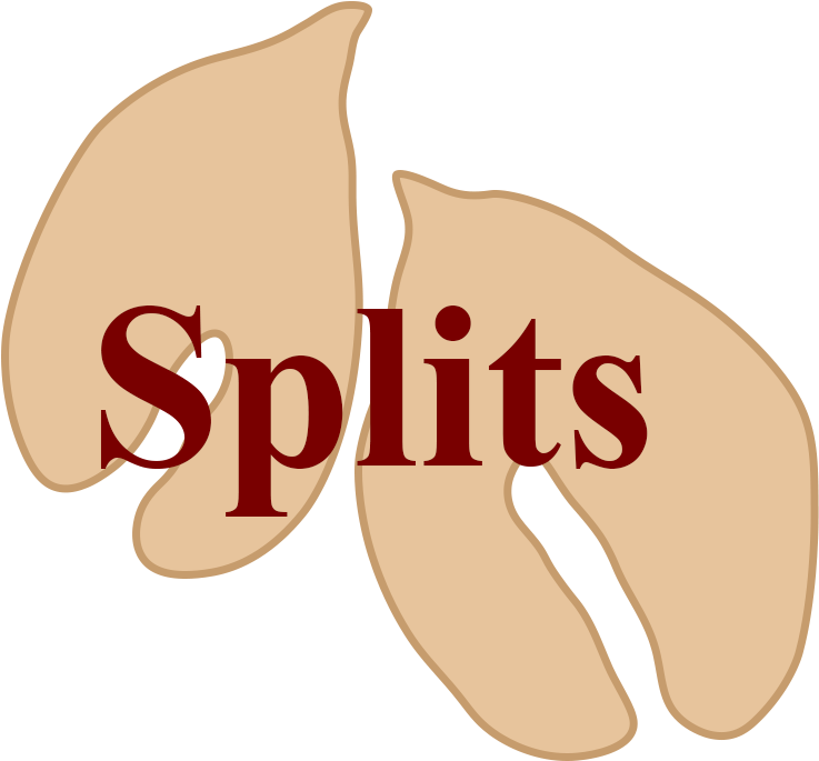 Split Peanut Cartoon Drawn Clipart Peanut Types - Photography (1000x1000)