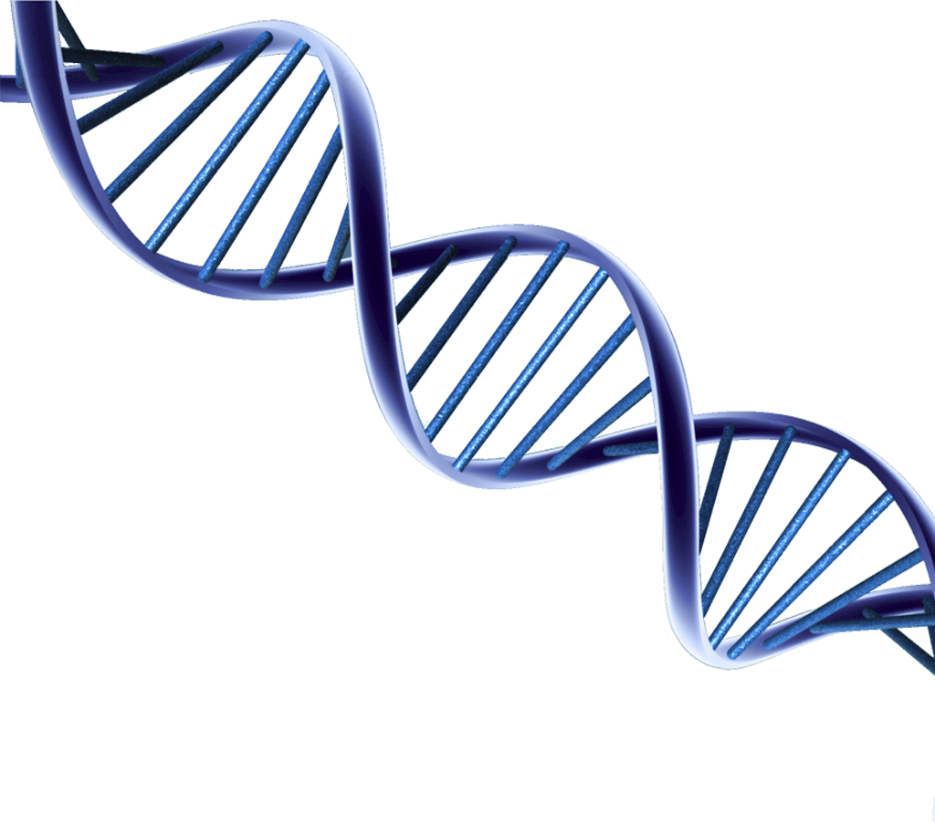 Psa And Prostate Cancer Research (1024x903)