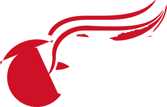 Sports, Personal Use, Detroit Red Wings Logo, - Sports, Personal Use, Detroit Red Wings Logo, (565x364)