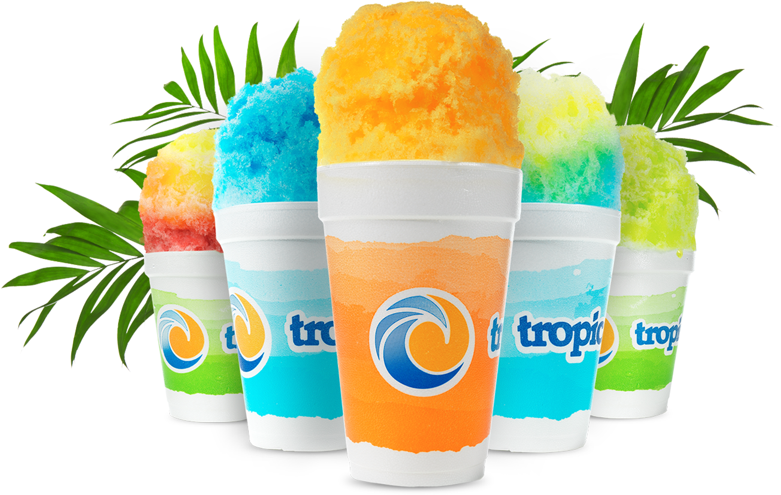 Tropical Sno (1700x1066)