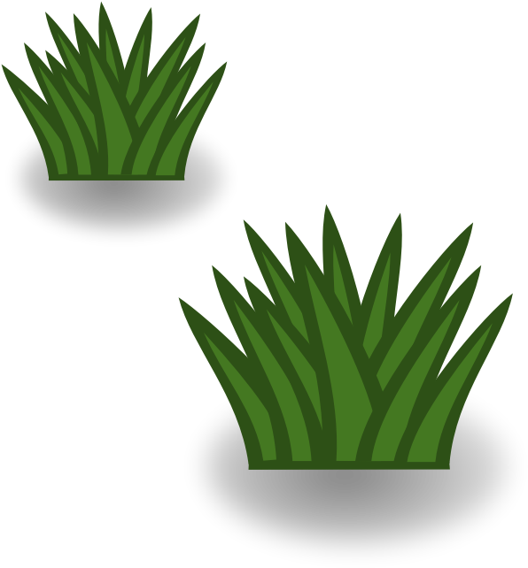 Clipart - Grassland Png (800x800)