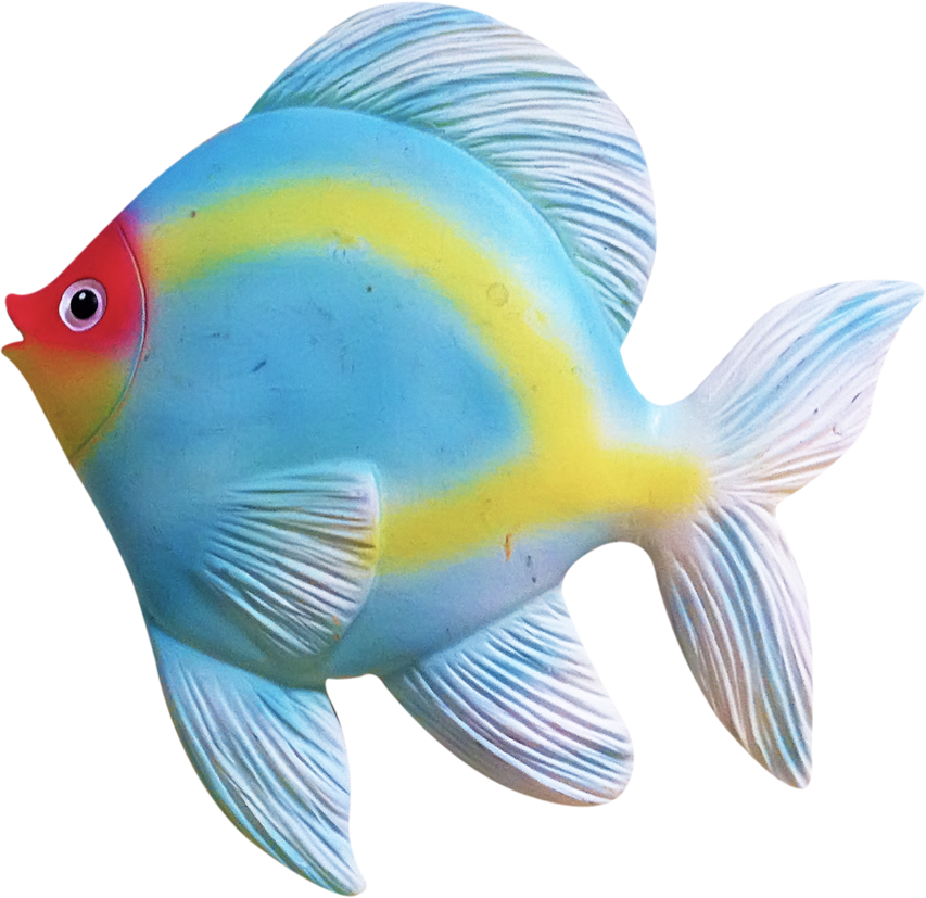 Tropical Fish Coral Reef Fish Clip Art - Tropical Fish Coral Reef Fish Clip Art (853x827)