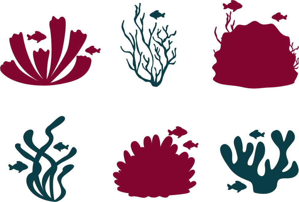 Coral Reef Fish Euclidean Vector - Coral Reef Vector Png (974x657)