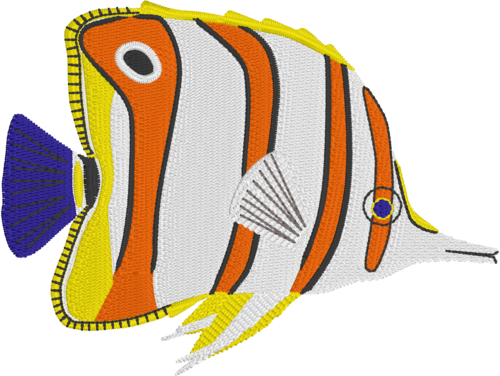 Butterfly Fish - Pearl (500x376)