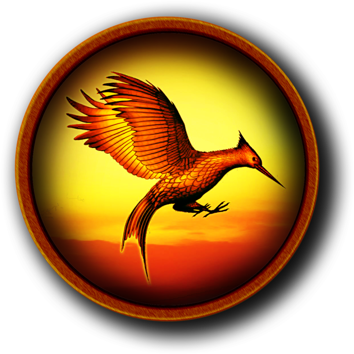 Catching Fire Round Icon By Slamiticon Catching Fire - Icon (900x1098)