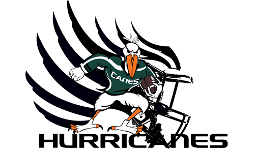 Iv Hurricanes Logo - Escene (640x300)
