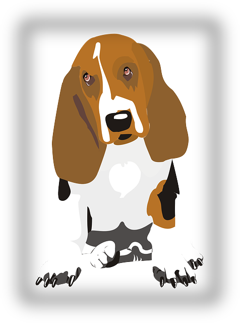 Dog, Beagle, Sitting, Pet, Long, Ears, Droopy - Posterazzi Dog In Color 1 Poster Print (476x640)
