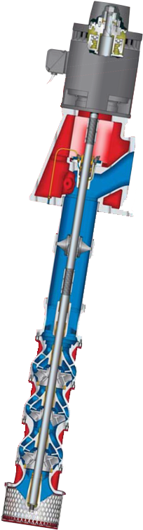 Ver Más - Ski Equipment (259x800)