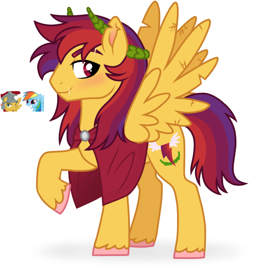 Rainmagnus Adopt Ota - Mlp Rainbow Dash X Flash Magnus (863x925)