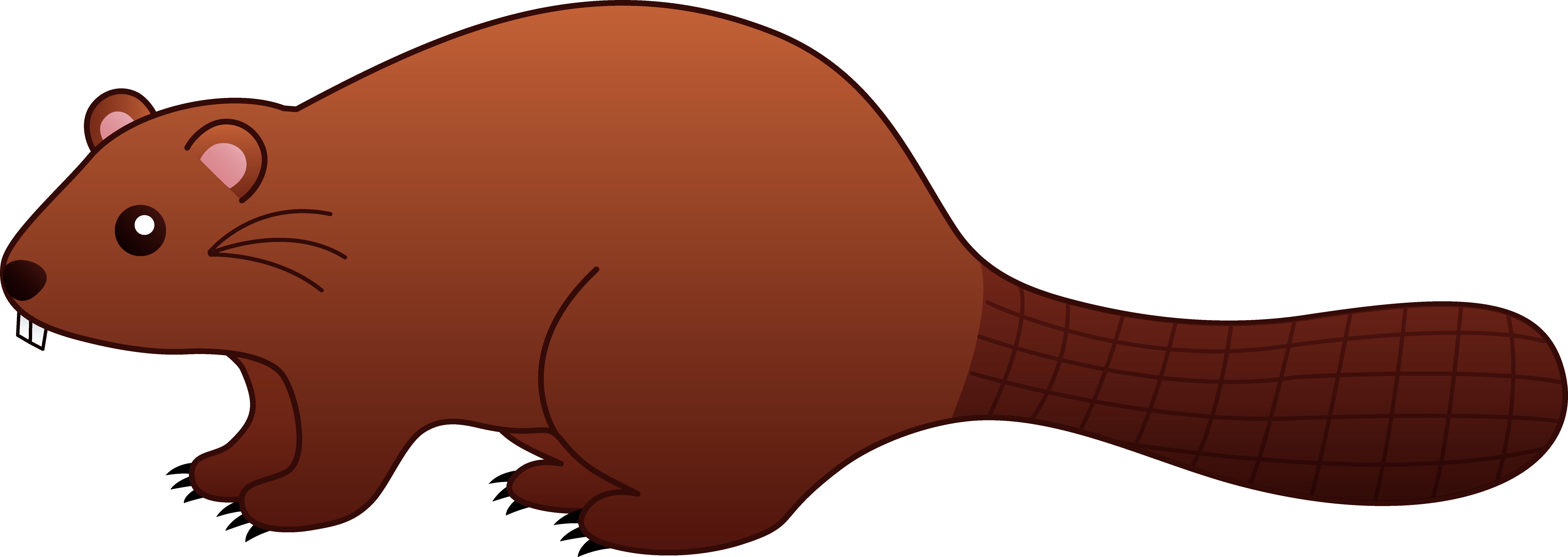 Beaver Clip Art - Clip Art Beaver (8001x2843)