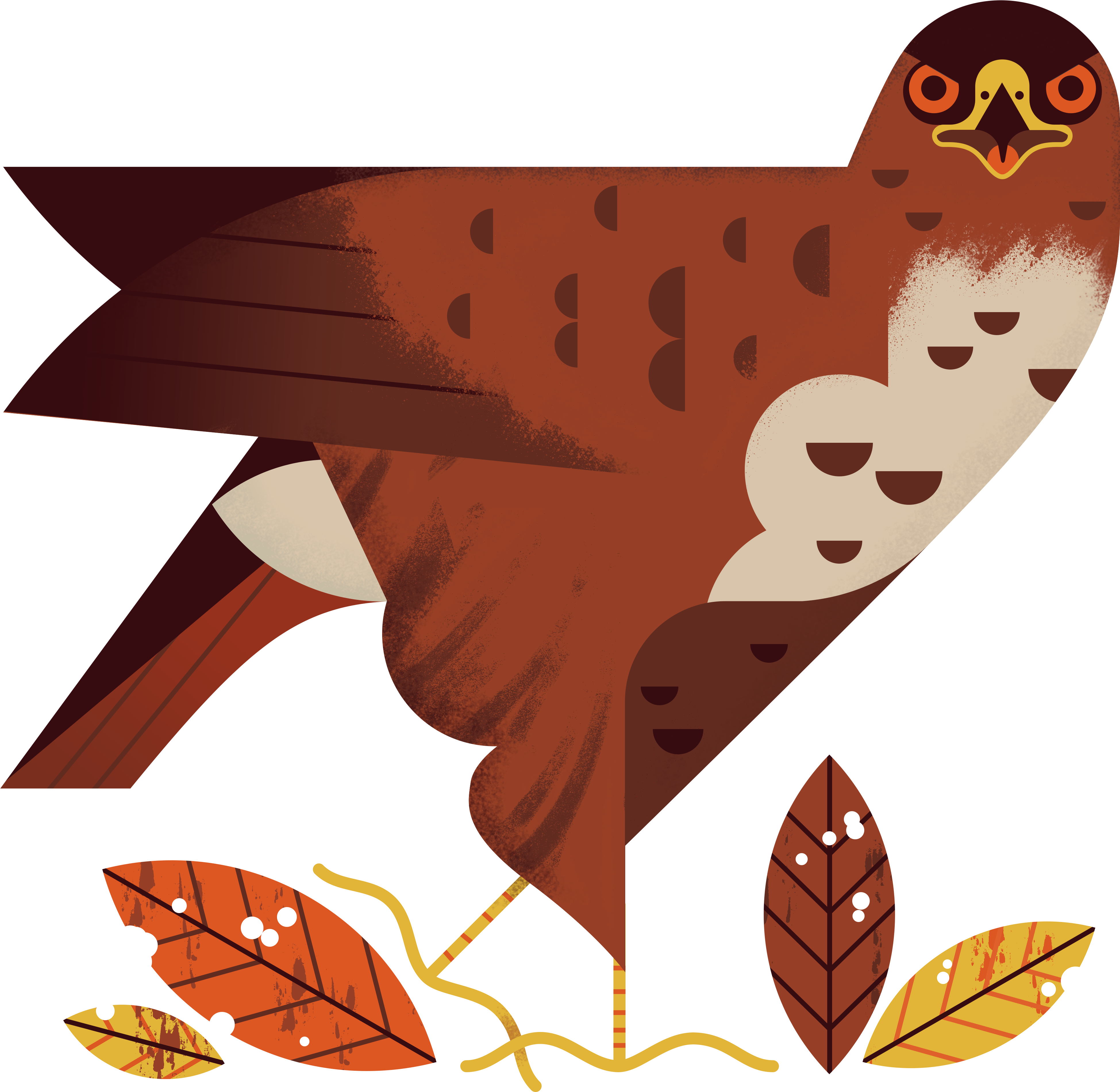 Chris Packham Meets A Grumpy Buzzard - Chris Packham Meets A Grumpy Buzzard (3976x3942)