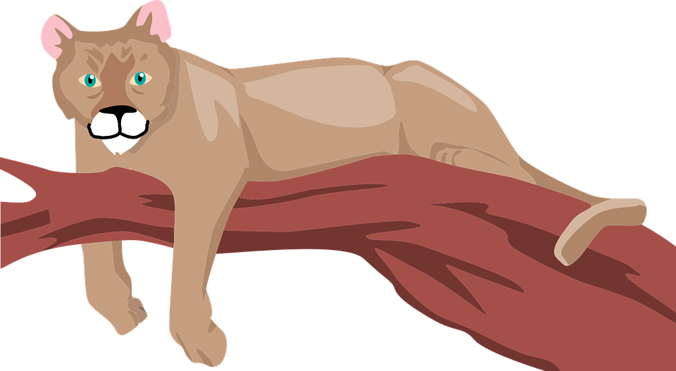 Cartoon Cougar - Funny Funny Funny Stainless Steel Travel Mug (960x527)