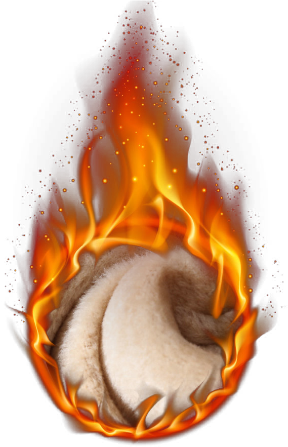 Winter Warm Fashion Lace Crochet Slim Tops Shirt Casual (767x908)