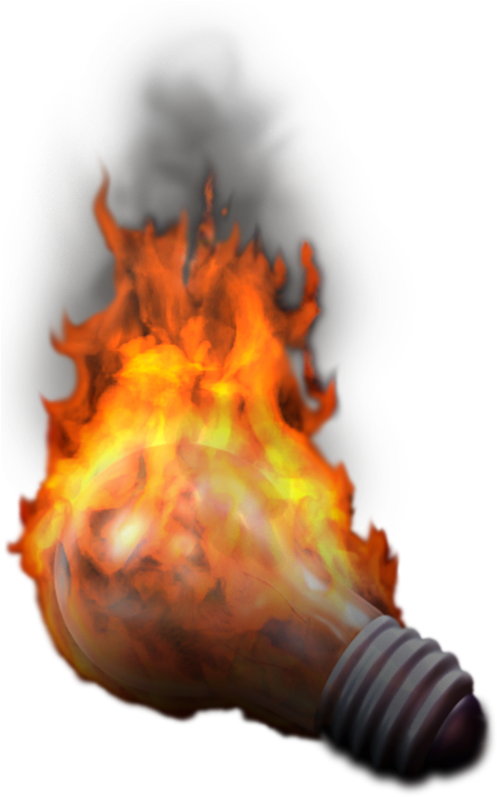 E - Marine Biology (560x900)