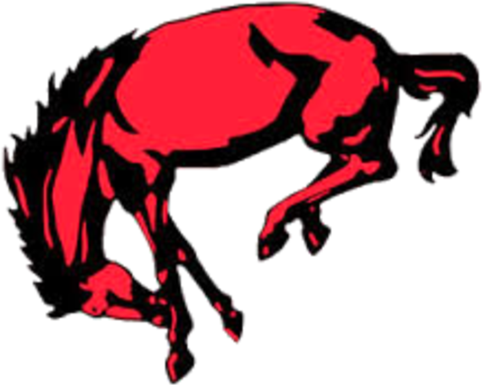 Barrington High School Baseball Logo (720x720)