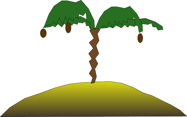 Illustration Palm, Island, Beach, Illustration - Clip Art (640x401)