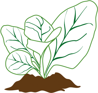 Soil Health - Soil Health (400x400)