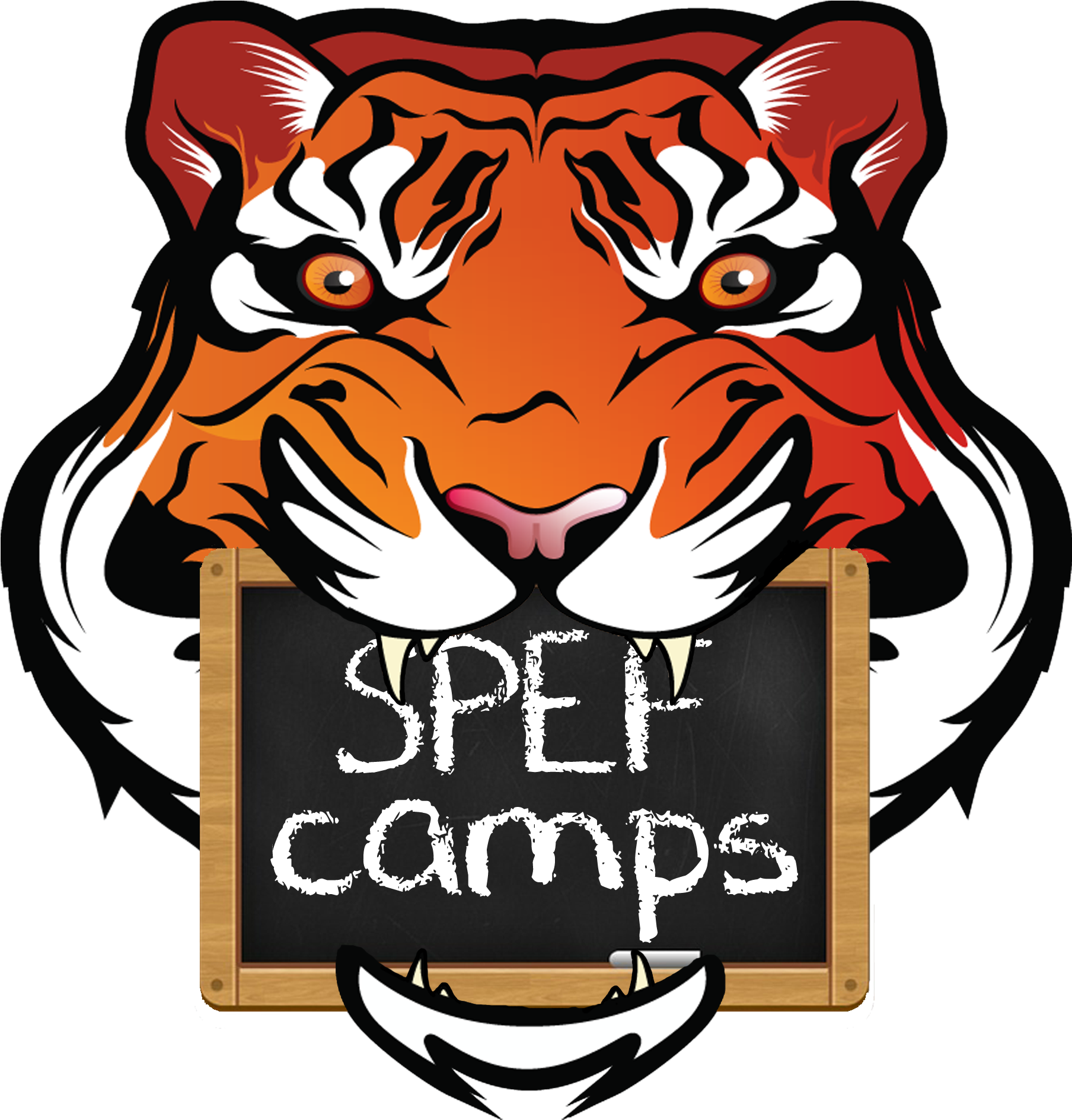 Spef Camps - Memphis Tigers Football (2700x2700)