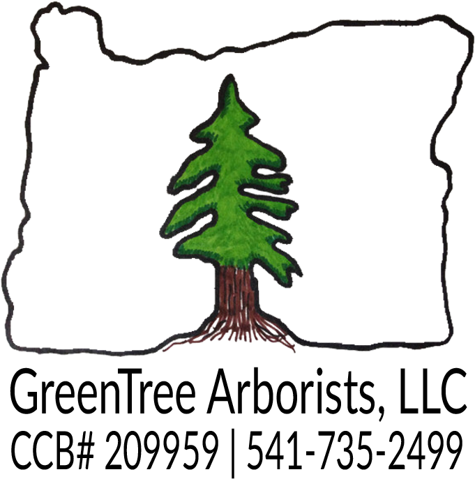 Greentree Arborists - Greentree Arborists, Llc (700x700)