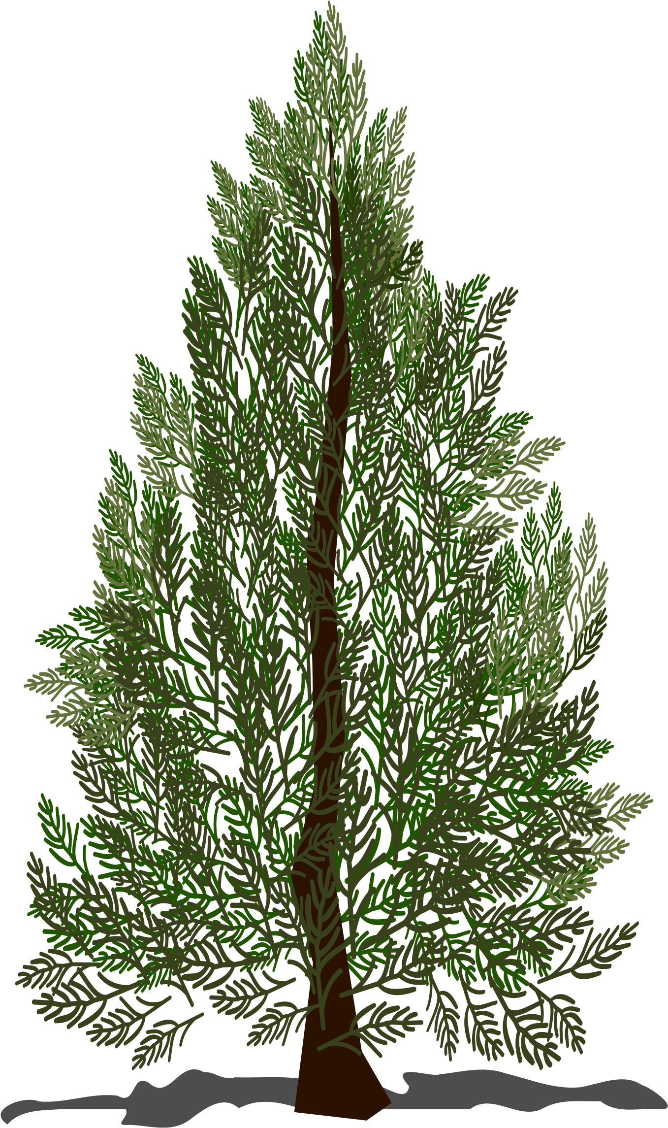 Pine Tree - Pre-lit Tree (2400x2400)