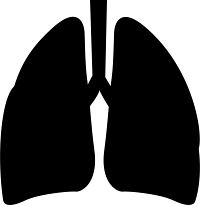 Lungs Dark Png Icon Png Images - Icon Lungs Png Vector (400x410)