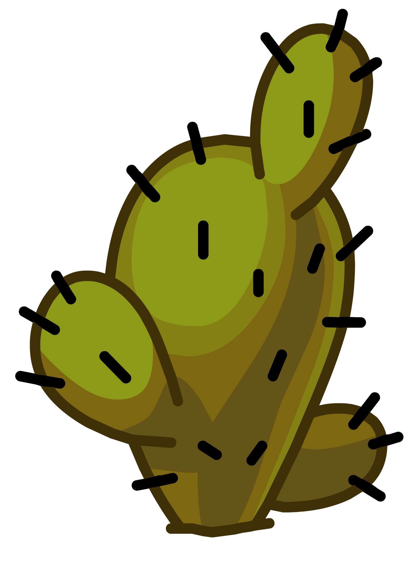 Desert Cactus - Portable Network Graphics (1338x1796)
