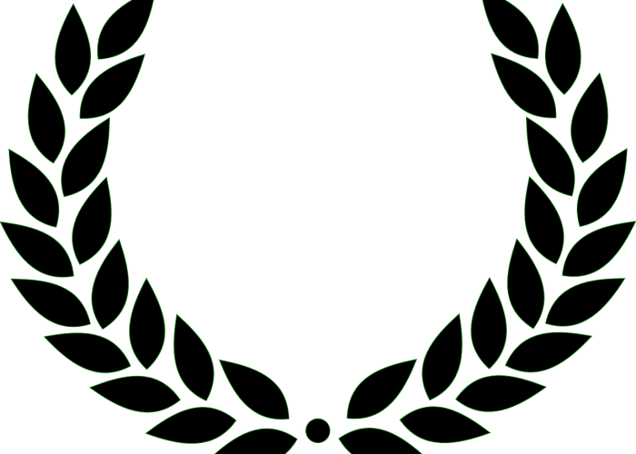 Silver Standard Performance Award - Laurel Vector (700x500)