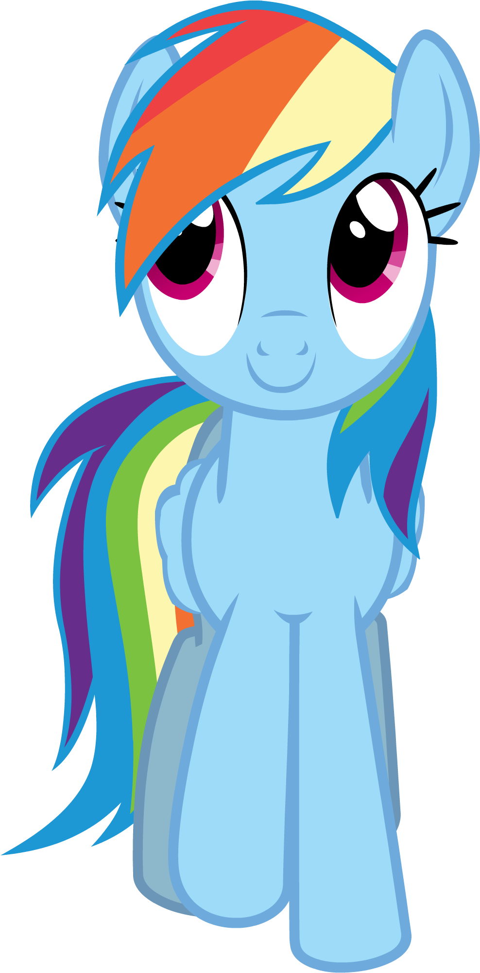 Rainbow Dash Vector - My Little Pony Rainbow Dash Front (1030x2059)