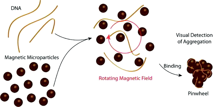 Tegrex Logo Created By Teresakatherine Designs - Christmas Tree (733x370)