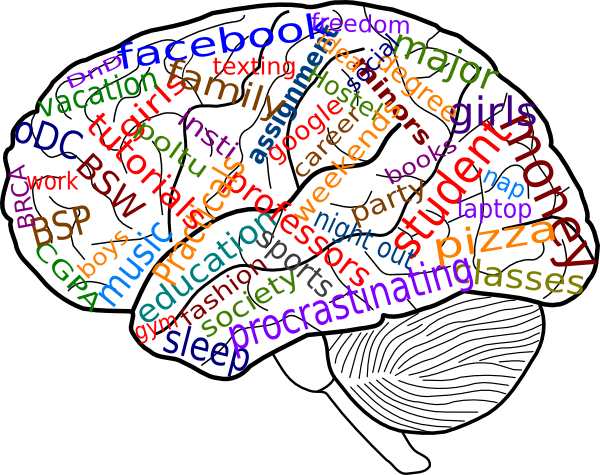Your Brain On College Clip Art At Clker - Psychology Clipart Transparent (600x475)