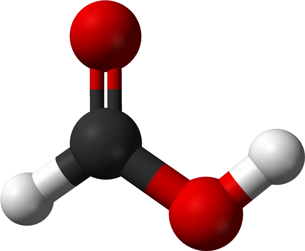 Bonding - Oxalate Ions In Guava (1100x925)