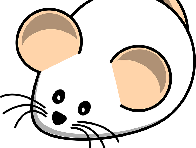 Abc Mouse - White Rat Animated (755x568)