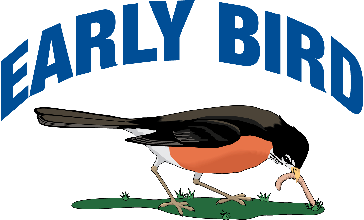 Early Bird Travel Isurance Is Now Available - Bird Came Down The Walk (1480x896)