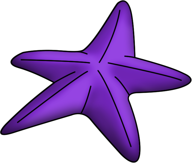 Ampliar Esta Imagen - Estrella De Mar De La Sirenita (641x543)