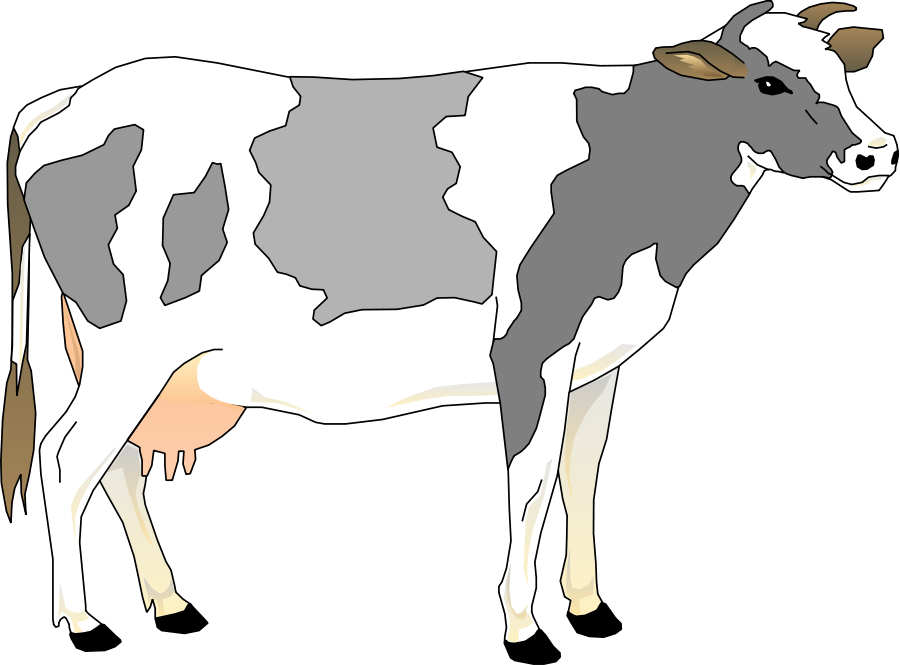 Cow 3 Small Clipart 300pixel Size, Free Design - Grey And White Cow (900x665)