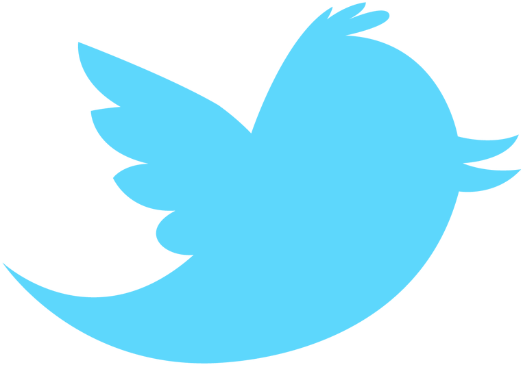 Picture - Twitter Bird Png (1100x618)