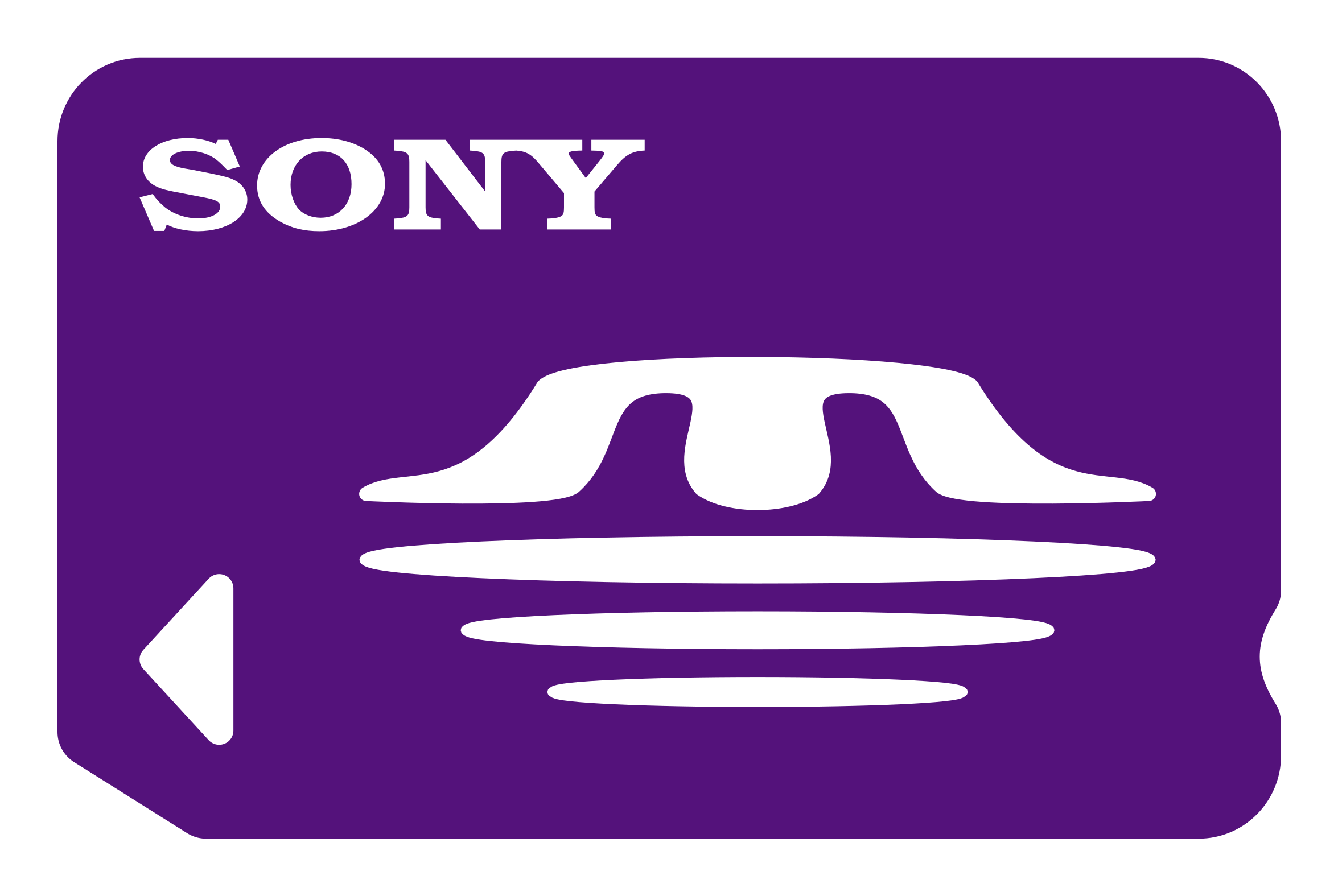 Memory Stick Mount - Sandisk Flash Memory Card - 4 Gb Memory Stick Micro (2400x2400)