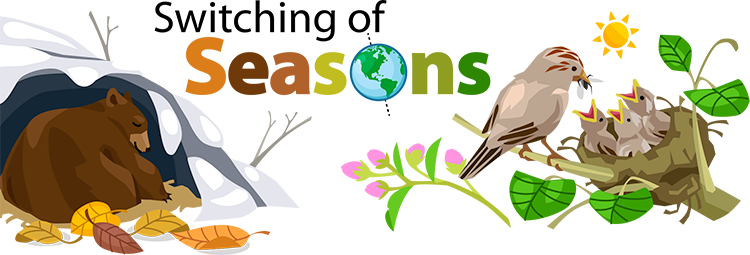 Switching Of Seasons - Ask A Biologist (750x255)