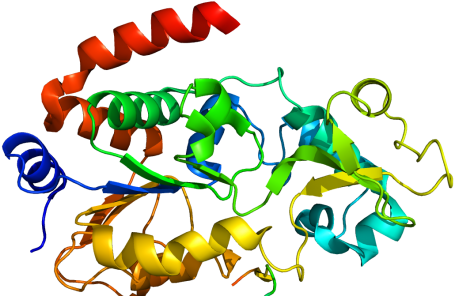 3d Proteins - Proteins Molecule (530x297)