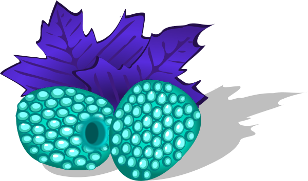Rapsberry Clipart Blue Raspberry - Blue Raspberry Clip Art (600x354)