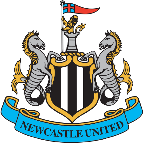 Officially Licensed English Premier League Cornhole - Newcastle United Logo (477x480)