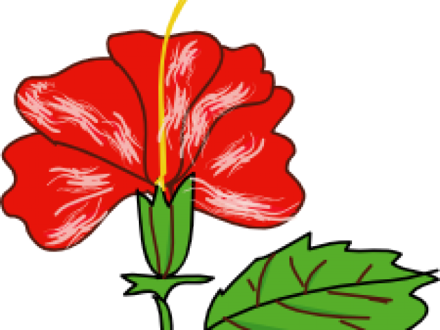 Plants Clipart Gumamela - Plant Fertilization (640x480)