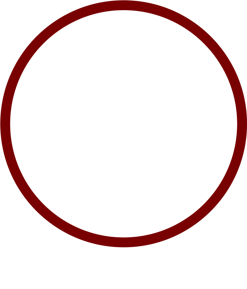 Say Cheese - Circle (1091x1305)