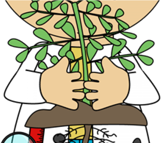 Plants Clipart Lab - Clipart Child Scientist (640x480)