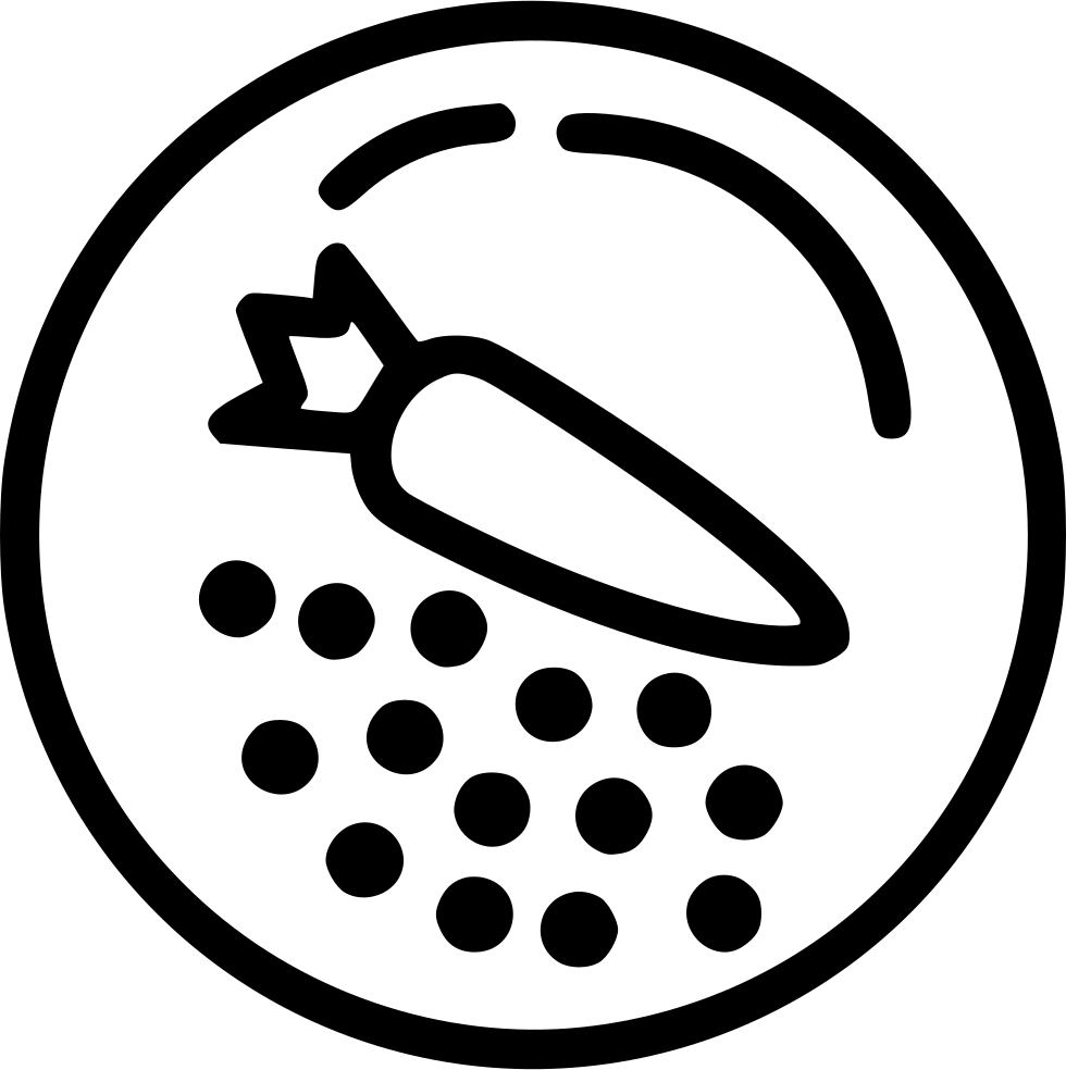 Vegetables Dish Plate Carrot Helthy Svg Png Icon Free - Plate (980x984)