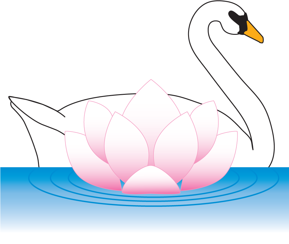 About Sarbjit - Swan (931x805)
