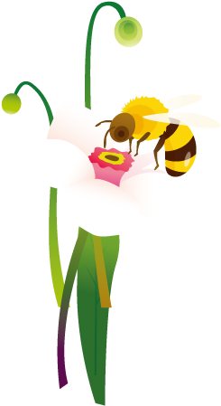 Honey Bee Beehive Honeycomb Clip Art - Cartoon Bees (600x600)